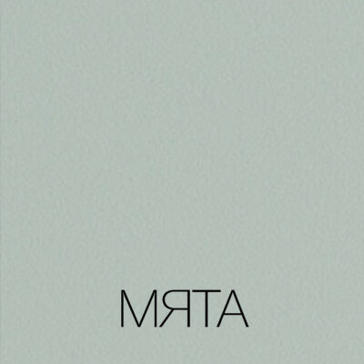 Мята